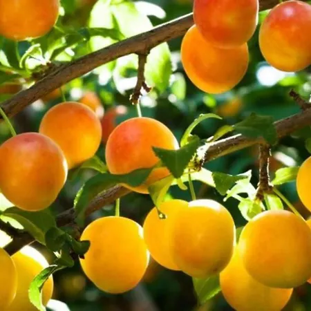 Le 18 Avenue Du Côteau 2/3 Personnes Confort Hébergement de vacances